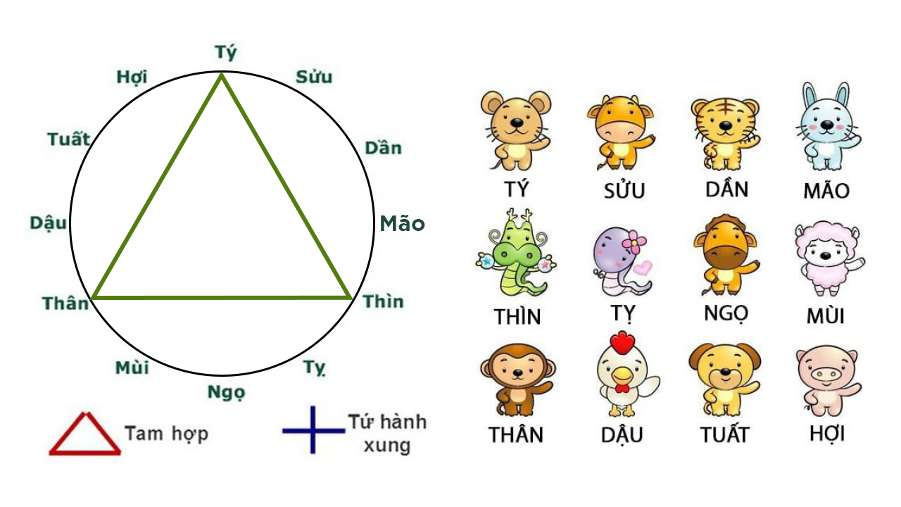 Bộ Tam Hợp Thủy Cục: Thân – Tý – Thìn