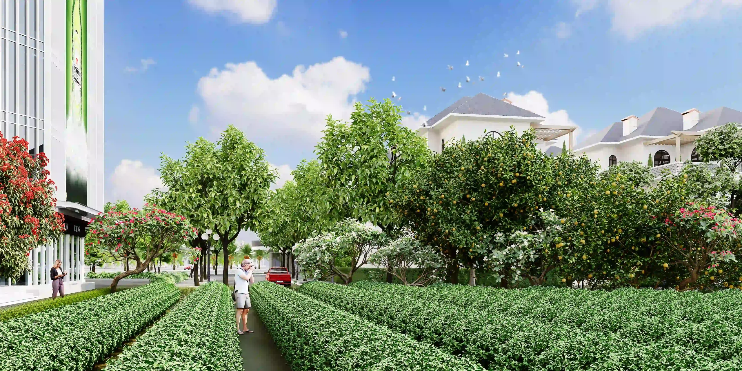 Vườn Thảo Dược độc đáo tại Dream Garden City