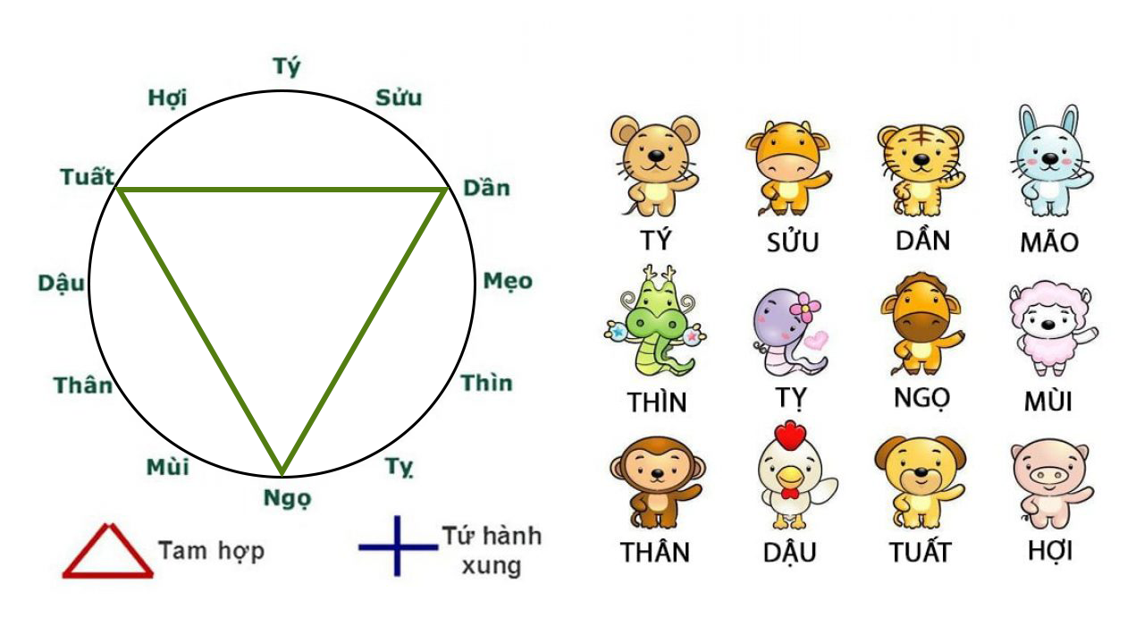 Bộ Tam Hợp Hỏa Cục: Dần – Ngọ – Tuất