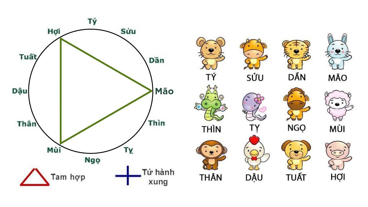 Bộ Tam Hợp Mộc Cục: Hợi – Mão – Mùi