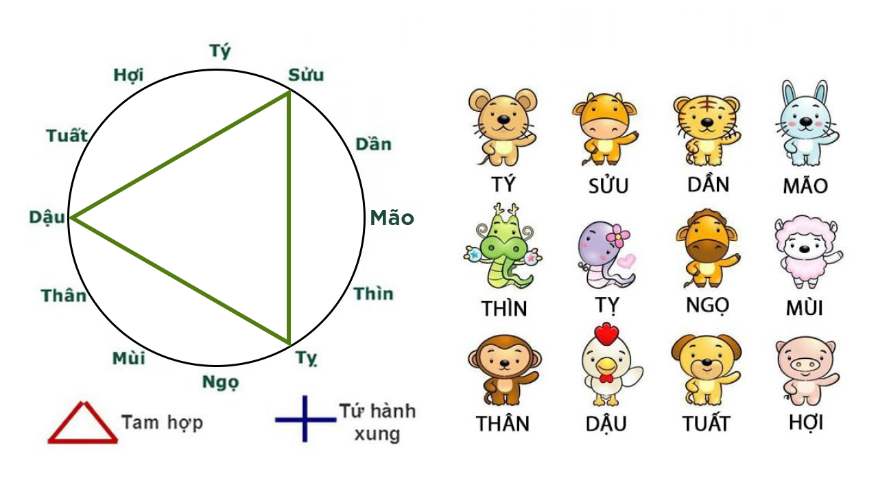 Bộ Tam Hợp Kim Cục: Tỵ – Dậu – Sửu